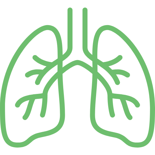 Lunge – Symbol für die Spirometrie